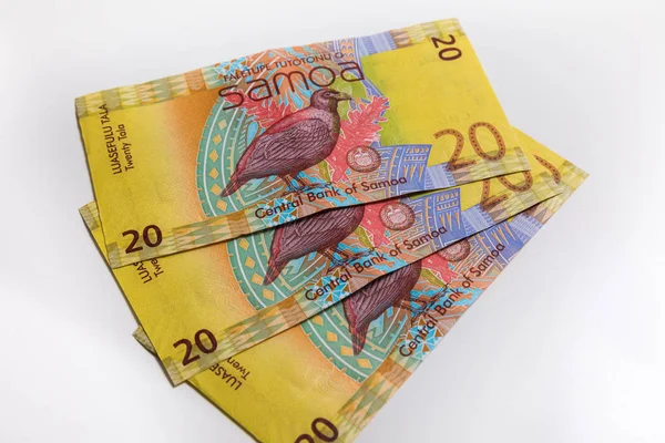 Samoa Tala peníze — Stock fotografie