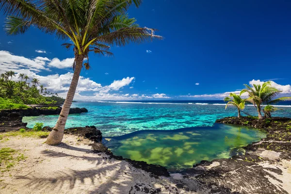 Samoa szigetén Beach — Stock Fotó