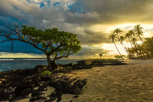 Tropisk strand på Samoa — Stockfoto