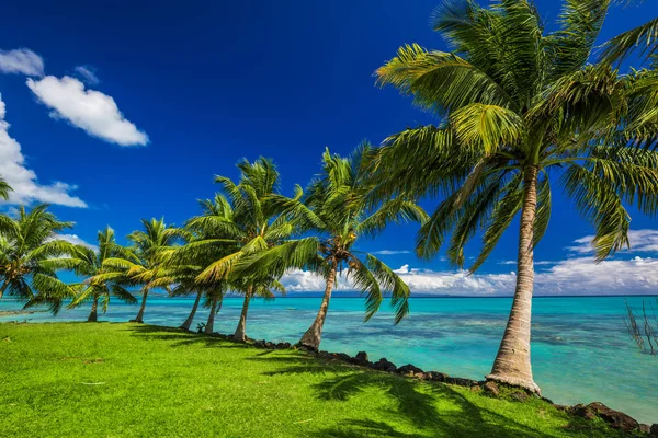 Praia tropical na ilha de Samoa — Fotografia de Stock