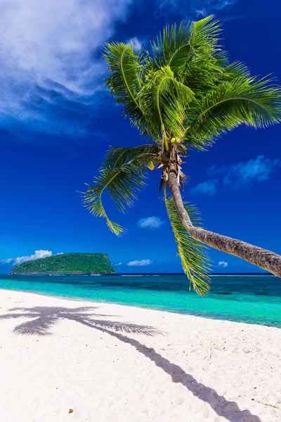 Praia tropical em Samoa — Fotografia de Stock