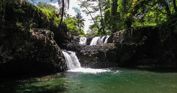 Cachoeira na floresta verde — Vídeo de Stock