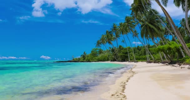 Praia na ilha de Samoa — Vídeo de Stock