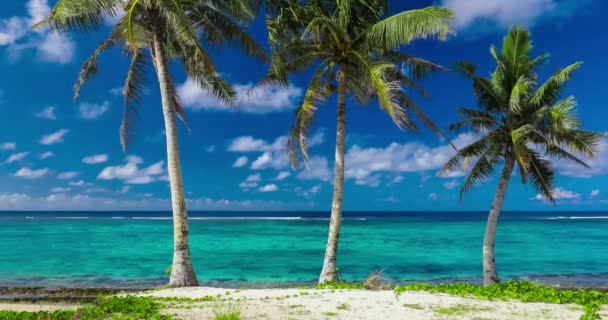 Playa en la isla de Samoa — Vídeo de stock