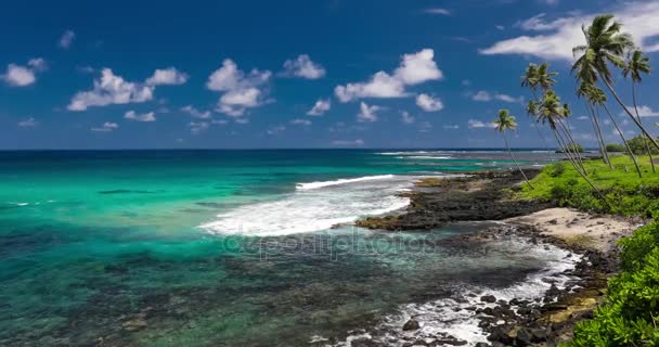 Playa tropical en la isla de Samoa — Vídeos de Stock