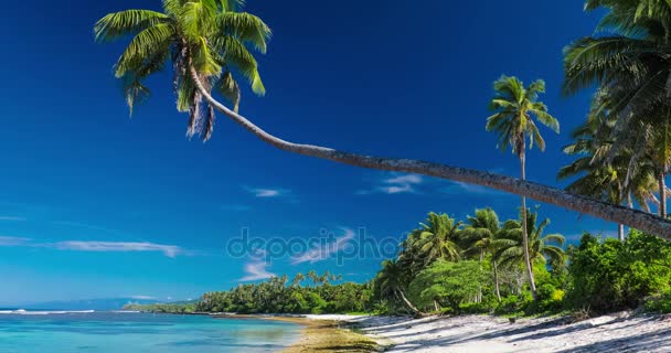 Praia na ilha de Samoa — Vídeo de Stock