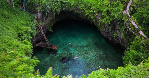 Chcete-li Sua ocean příkop — Stock video