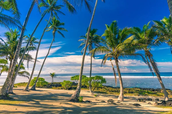萨摩亚岛上的热带海滩 — 图库照片