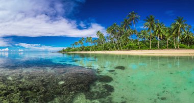 Tropical beach on Samoa Island  clipart