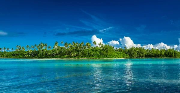 热带拉罗汤加岛与棕榈树 — 图库照片