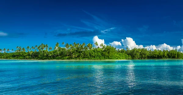 Rarotonga tropical com palmeiras — Fotografia de Stock