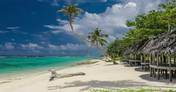 Playa tropical con palmeras — Vídeo de stock