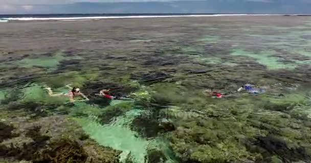 Mujer con dos chicos haciendo snorkel — Vídeo de stock