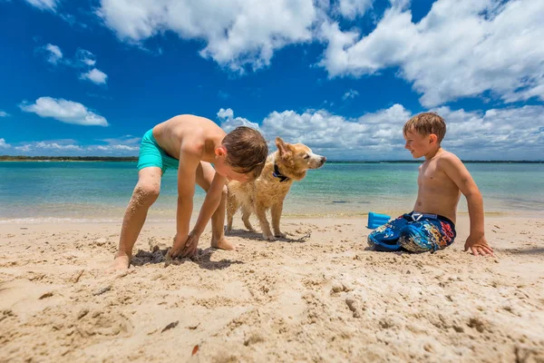 Jongens spelen met retriever aan zandstrand — Stockfoto