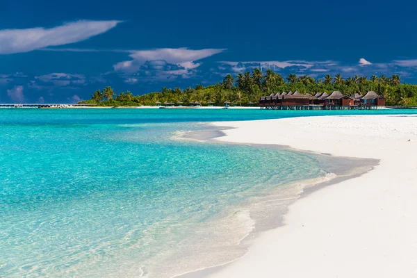 stock image Sandy beach with palm trees