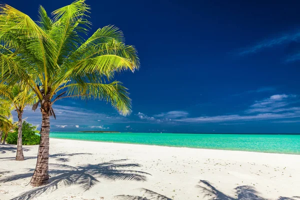 Incredibile spiaggia tropicale — Foto Stock