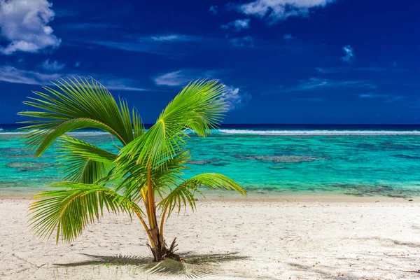 Piaszczystej plaży na wyspie Rarotonga — Zdjęcie stockowe