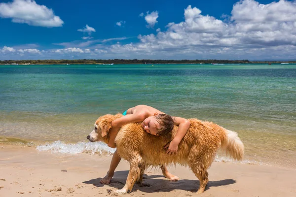 Boy hugging retriever on sandy beach Royalty Free Stock Photos