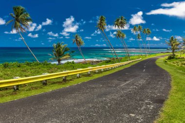 Coastal road lined with palm trees clipart