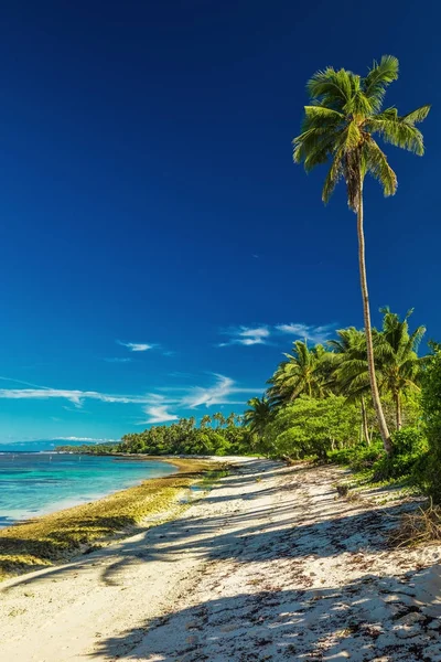 自然の鮮やかな熱帯のビーチ — ストック写真