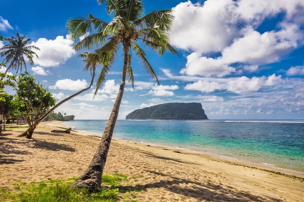 A pálmafákkal teli trópusi beach — Stock Fotó