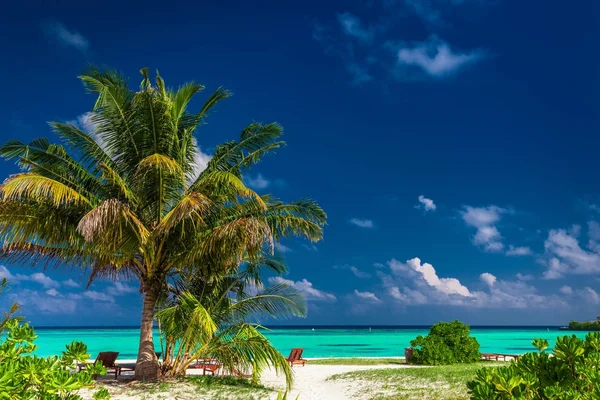 Spiaggia tropicale naturale rilassata — Foto Stock