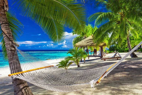 Hammock between palm trees — Stock Photo, Image