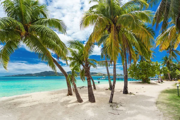 Spiaggia tropicale con palme — Foto Stock