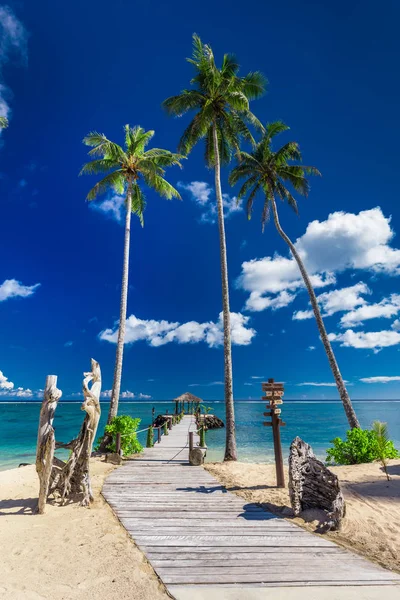 Pláž na ostrově Samoa — Stock fotografie