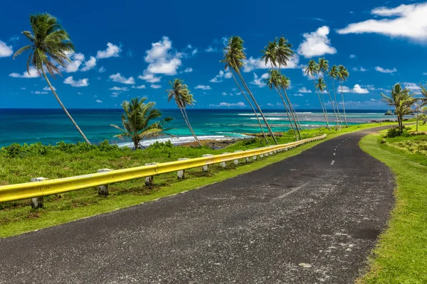 Camino costero bordeado de palmeras — Foto de Stock