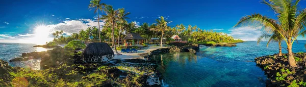 Coral reef and palm trees — Stock Photo, Image