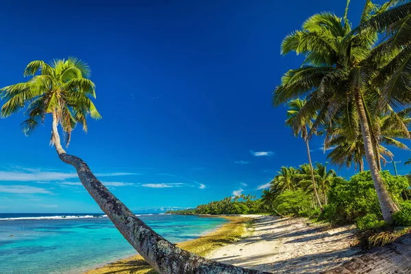 Tropical beach on south side — Stock Photo, Image