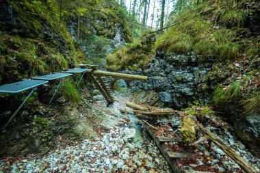 Hiking trail in Sucha Bela gorge in Slovensky raj National park, clipart