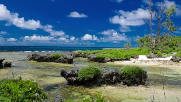 イートンビーチ エフェテ島 バヌアツ ポートビラの近く 東海岸の有名なビーチ — ストック動画