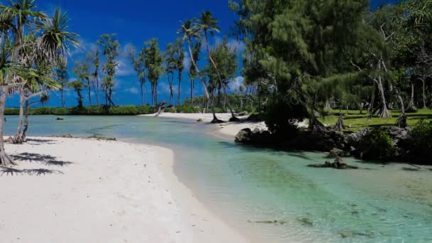 Eton Beach Efate Island Vanuatu Nära Port Vila Famous Beach — Stockvideo