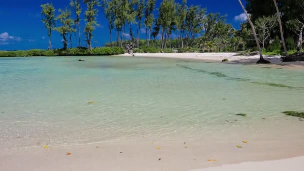 Eton Beach Efate Island Vanuatu Nedaleko Port Vila Slavná Pláž — Stock video