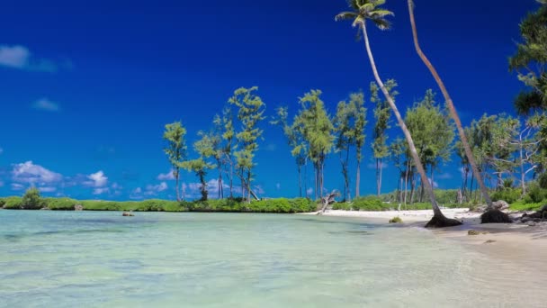 Eton Beach Efate Adası Vanuatu Port Vila Yakınında Doğu Kıyısında — Stok video