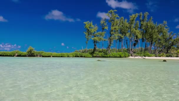 Eton Beach Efate Adası Vanuatu Port Vila Yakınında Doğu Kıyısında — Stok video