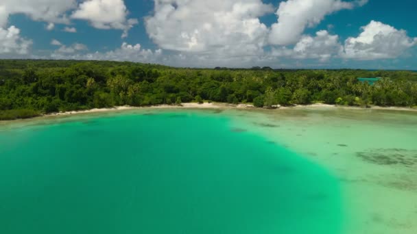 Drone Vista Piccole Isole Efate Island Vanuatu Port Vila — Video Stock