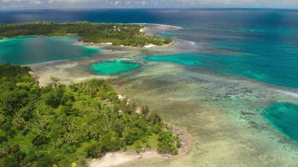 Drone View Small Islands Efate Island Vanuatu Port Vila — 비디오