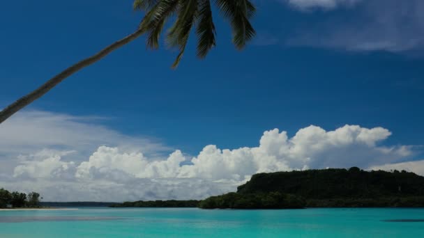 Porto Orly Praia Areia Com Palmeiras Ilha Espiritu Santo Vanuatu — Vídeo de Stock