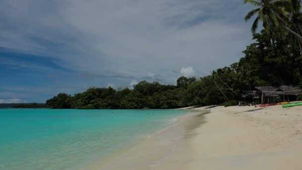 Porto Orly Praia Areia Com Palmeiras Ilha Espiritu Santo Vanuatu — Vídeo de Stock