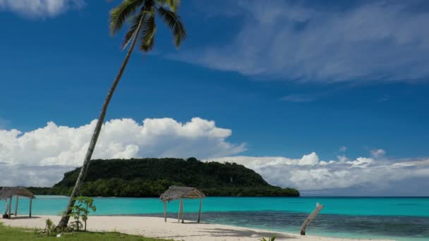 Port Orly Piaszczysta Plaża Palmami Espiritu Santo Island Vanuatu — Wideo stockowe