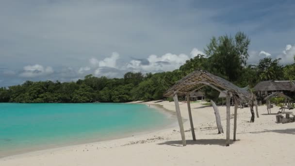 Palmiye Ağaçları Ile Port Orly Kumlu Plaj Espiritu Santo Adası — Stok video