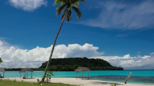 Port Orly Sandstrand Mit Palmen Insel Espiritu Santo Vanuatu — Stockvideo