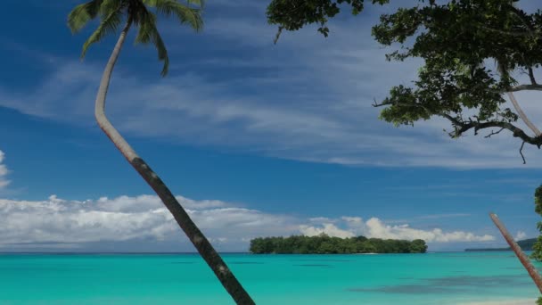 Port Orly Playa Arena Con Palmeras Isla Espiritu Santo Vanuatu — Vídeo de stock