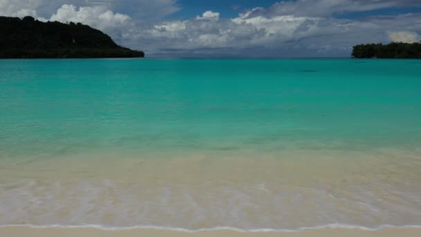 Port Orly Sandstrand Mit Palmen Insel Espiritu Santo Vanuatu — Stockvideo