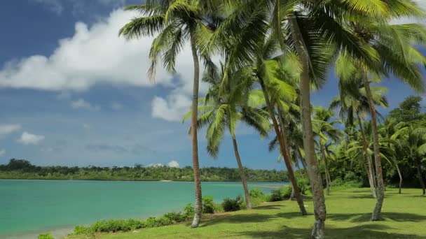 Tropiskt Semesterliv Vanuatu Nära Port Vila Efate Island — Stockvideo