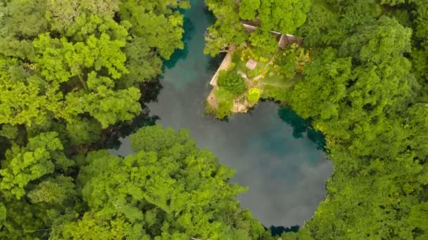 Agujero Azul Matevulu Isla Santa Espiritu Vanuatu Destino Turístico — Vídeo de stock