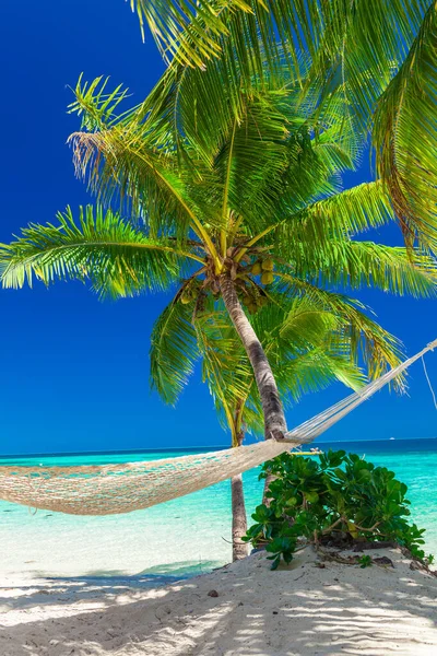 Palmbomen Een Wit Zandstrand Bij Plantation Island Fiji South Pacific — Stockfoto